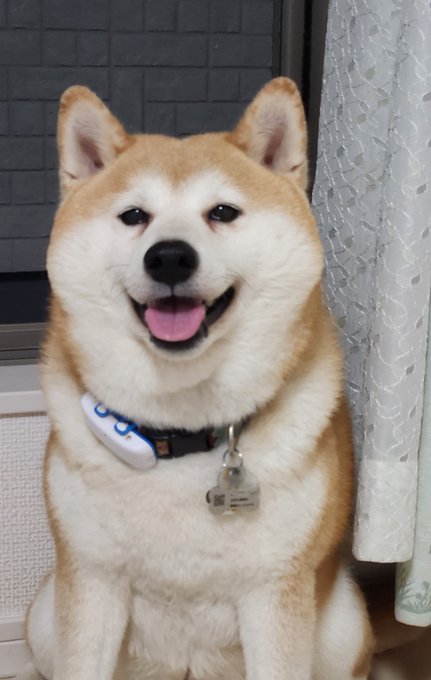 Yoyo Inflatable Sofa